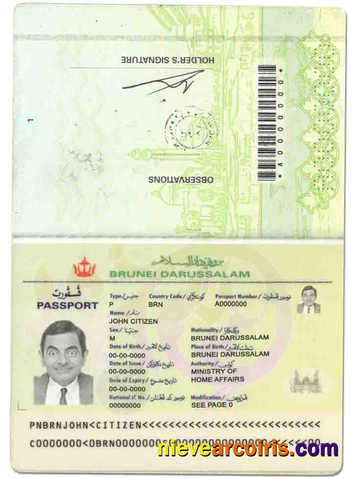 Brunei passport